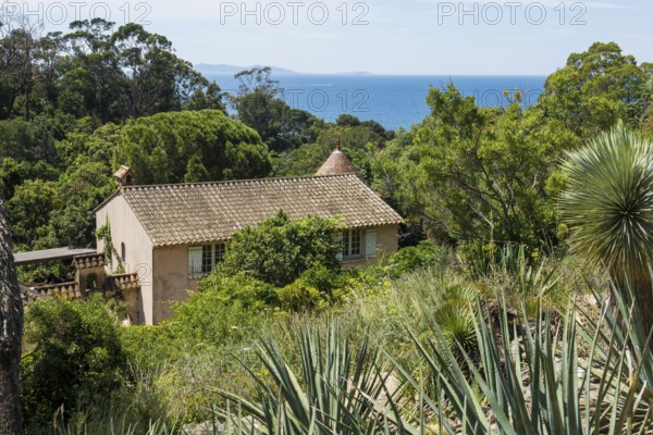 Domaine du Rayol, Botanical Garden, Rayol, Var, French Riviera, Provence-Alpes-Cote d'Azur, Cote d Azur, France