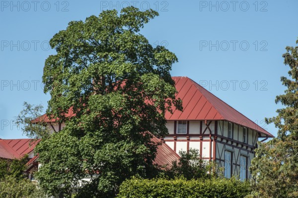 Half-timbered house at blue sky and behind tree in Ystad, Skåne County, Sweden, Scandinavia