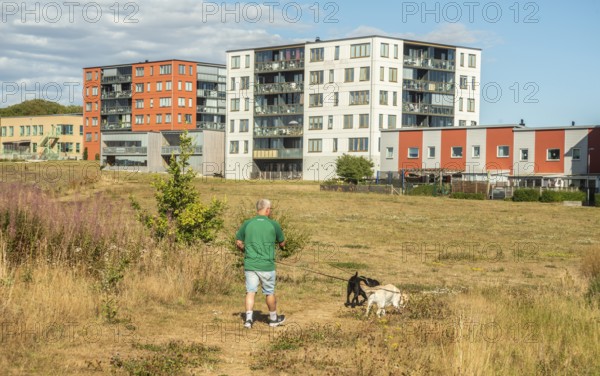 Modern apartment building built in 2020, A man walking their dogs. In Ystad, Skåne County, Sweden, Scandinavia