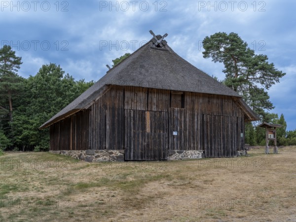 Former sheepfold, outdoor sheepfold, Heiliger Hain nature reserve, Wahrenholz, Lüneburg Heath, Lower Saxony, Germany
