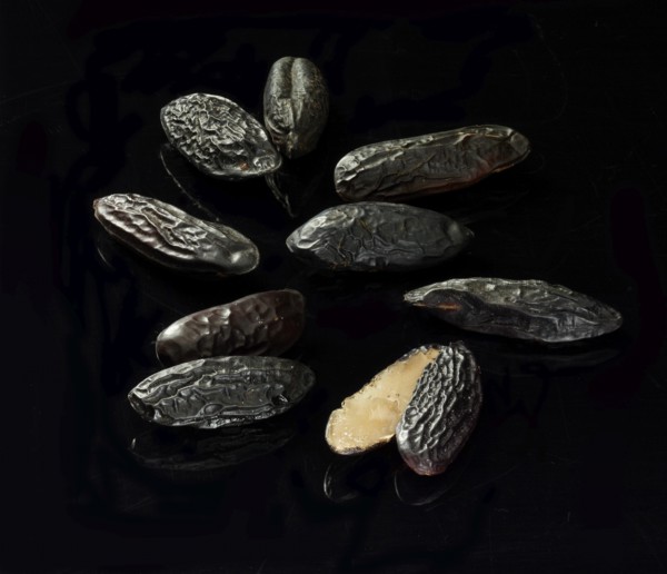 Tonka beans against a black background