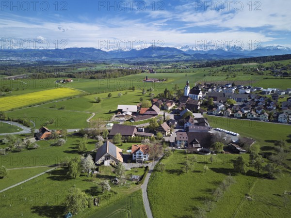 Village view with field of flowering rape, behind the Rigi and the snow-covered Alps, Beinwil, Freiamt, Canton, Aargau, Switzerland