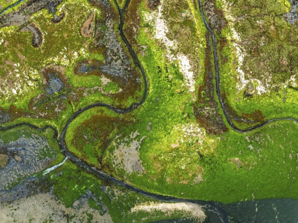 Top Down over River Hamble Mud at low tide from drone, Swanwick, Southampton, Hampshire, England, United Kingdom