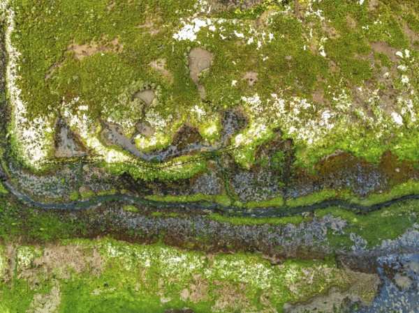 Top Down over River Hamble Mud at low tide from drone, Swanwick, Southampton, Hampshire, England, United Kingdom