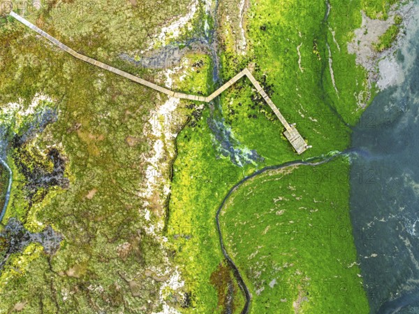 Top Down over River Hamble Mud at low tide from drone, Swanwick, Southampton, Hampshire, England, United Kingdom