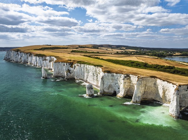 White Cliffs of Old Harry Rocks Jurassic Coast from a drone, Handfast Point, Dorset Coast, Poole, Dorset, England, United Kingdom
