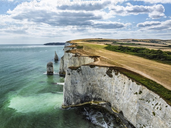 White Cliffs of Old Harry Rocks Jurassic Coast from a drone, Handfast Point, Dorset Coast, Poole, Dorset, England, United Kingdom