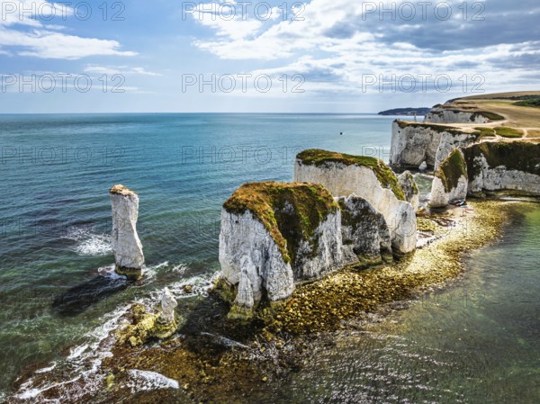 White Cliffs of Old Harry Rocks Jurassic Coast from a drone, Handfast Point, Dorset Coast, Poole, Dorset, England, United Kingdom