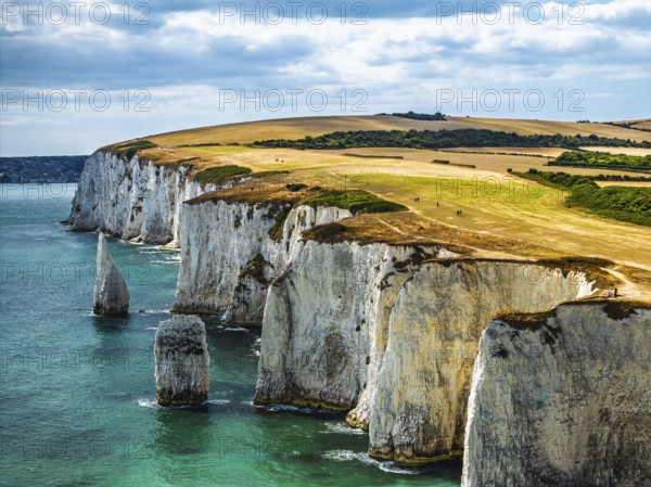 White Cliffs of Old Harry Rocks Jurassic Coast from a drone, Handfast Point, Dorset Coast, Poole, Dorset, England, United Kingdom