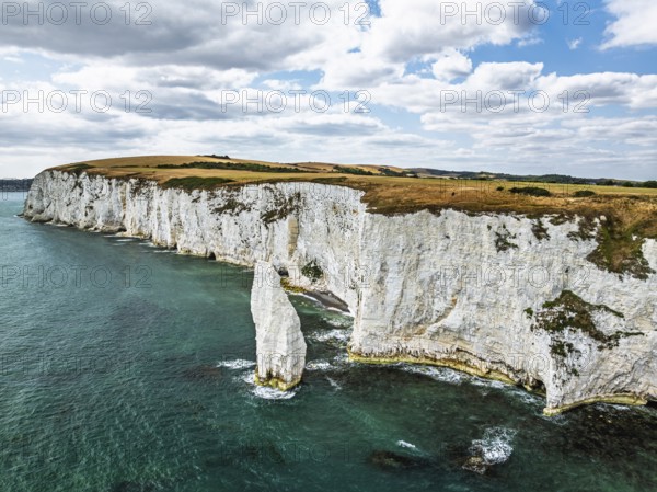 White Cliffs of Old Harry Rocks Jurassic Coast from a drone, Handfast Point, Dorset Coast, Poole, Dorset, England, United Kingdom
