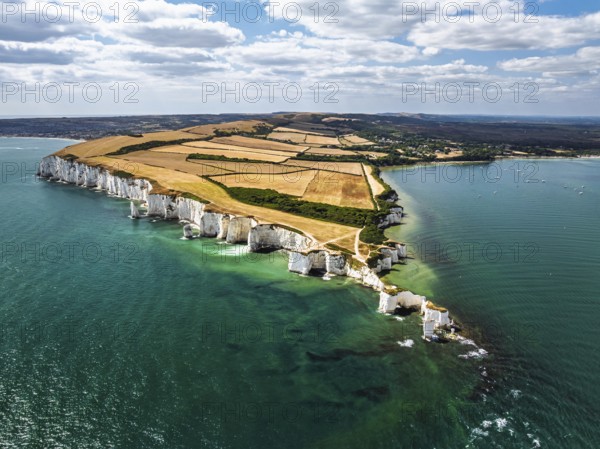 White Cliffs of Old Harry Rocks Jurassic Coast from a drone, Handfast Point, Dorset Coast, Poole, Dorset, England, United Kingdom
