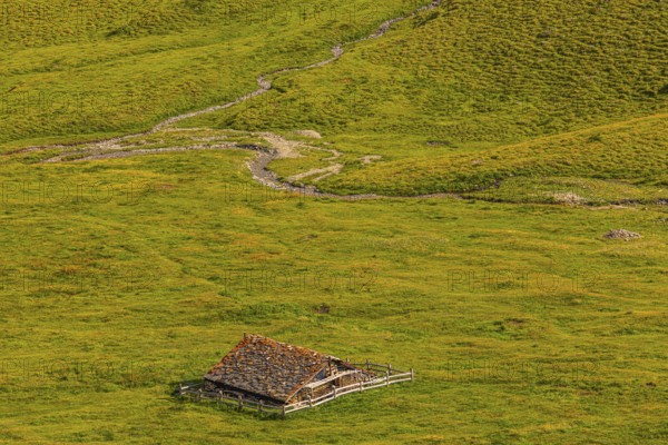 Alpine hut in green alpine meadow, above Grimentz, Val d'Anniviers, Valais Alps, Canton Valais, Switzerland
