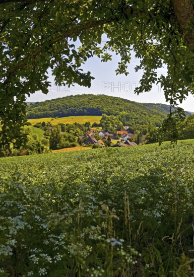 Landscape in the Weserbergland, Bodenwerder, Münchhausenstadt, Lower Saxony, Germany