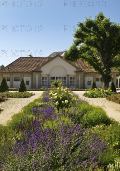 Rose garden in the spa gardens with the back of the concert shell, Bad Nauheim, Hesse, Germany