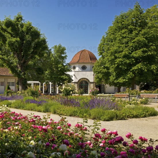 Rose garden in the spa gardens with the back of the concert shell and the Trinkkuranlage, Bad Nauheim, Hesse, Germany
