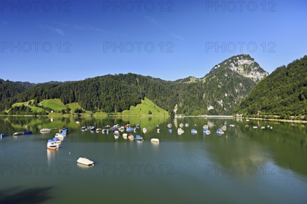 Motorboats moored at the reservoir, snow-covered Alps in the background, Wägitalersee, Canton, Schwyz, Switzerland
