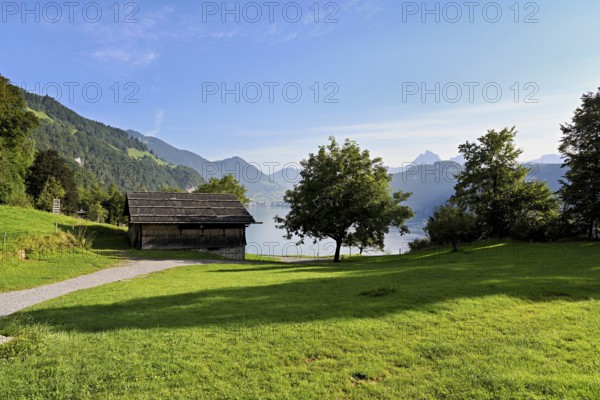 Rütli meadow, Lake Lucerne, Rütli, Canton, Uri, Switzerland