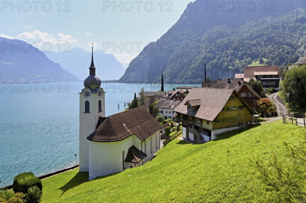 View of the village with the Roman Catholic Church of St Idda, Lake Lucerne in the background, Bauen, Canton Uri, Switzerland