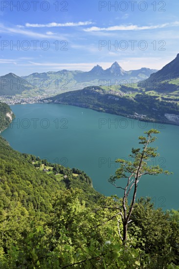 View from Seelisberg to Lake Lucerne, behind Brunnen and the small and large Mythen, Seelisberg, Canton, Uri, Switzerland
