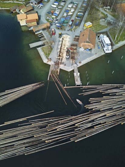 Raft of felled tree trunks at the landing stage where the trunks are pulled ashore and cut to size for loading onto the lorry, Rafting 2025, Unterägeri, Canton, Zug, Switzerland
