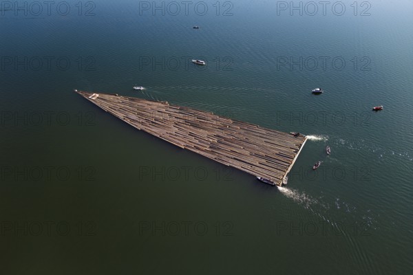 Forestry workers float a raft of felled tree trunks from Bergmatt across Lake Ägeri to the harbour, rafting 2025, Unterägeri, Canton, Zug, Switzerland