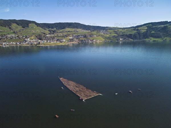 Forestry workers float a raft of felled tree trunks from the Bergmatt across the Ägerisee to the harbour, rafting 2025, Unterägeri, Canton, Zug, Switzerland