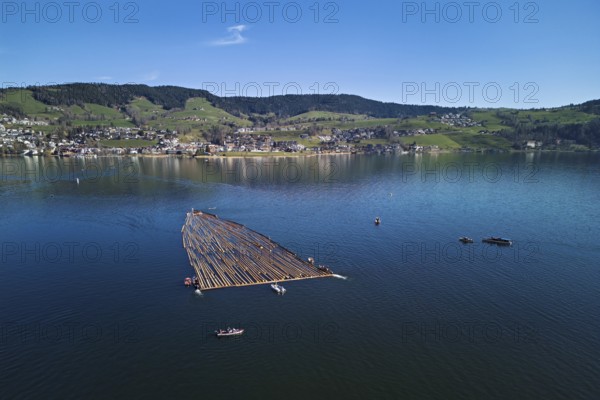 Forestry workers float a raft of felled tree trunks from the Bergmatt across the Ägerisee to the harbour, rafting 2025, Unterägeri, Canton, Zug, Switzerland