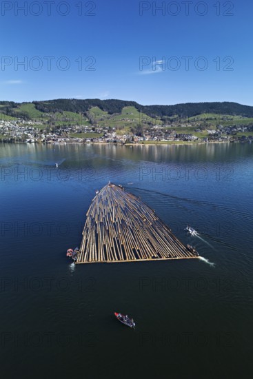 Forestry workers float a raft of felled tree trunks from the Bergmatt across the Ägerisee to the harbour, rafting 2025, Unterägeri, Canton, Zug, Switzerland