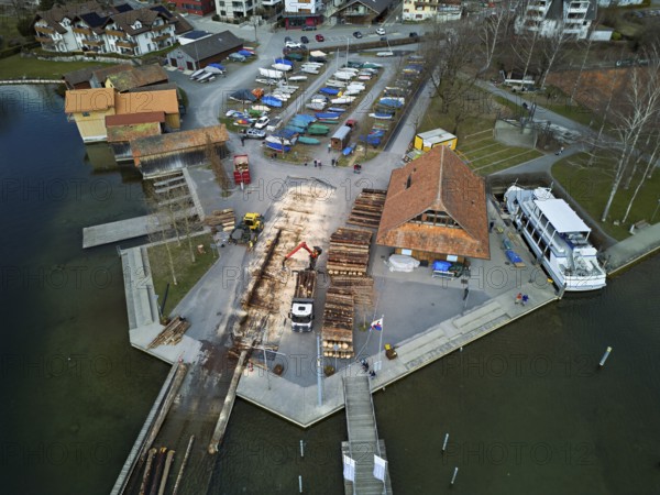 Raft of felled tree trunks at the landing stage where the trunks are pulled ashore and cut to size for loading onto the lorry, Rafting 2025, Unterägeri, Canton, Zug, Switzerland