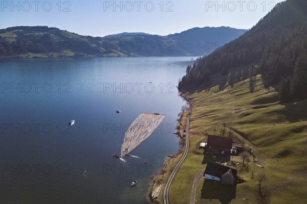 Forestry workers float a raft of felled tree trunks from the Bergmatt across the Ägerisee to the harbour, rafting 2025, Unterägeri, Canton, Zug, Switzerland