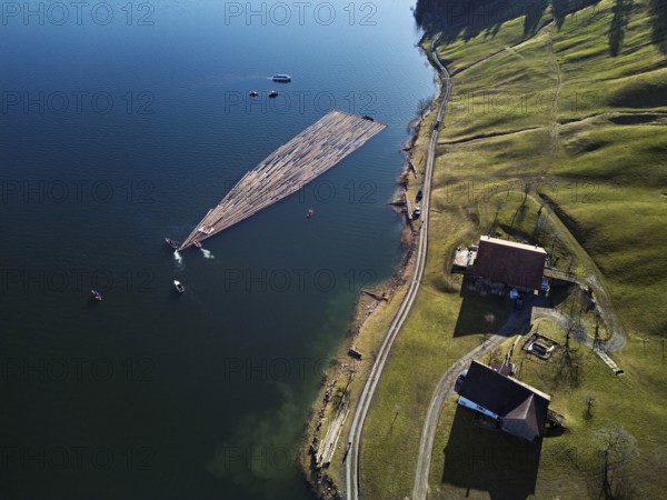 Forestry workers float a raft of felled tree trunks from the Bergmatt across the Ägerisee to the harbour, rafting 2025, Unterägeri, Canton, Zug, Switzerland