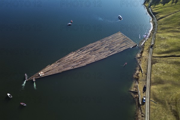 Forestry workers float a raft of felled tree trunks from the Bergmatt across the Ägerisee to the harbour, rafting 2025, Unterägeri, Canton, Zug, Switzerland