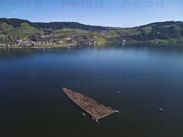 Forestry workers float a raft of felled tree trunks from the Bergmatt across the Ägerisee to the harbour, rafting 2025, Unterägeri, Canton, Zug, Switzerland
