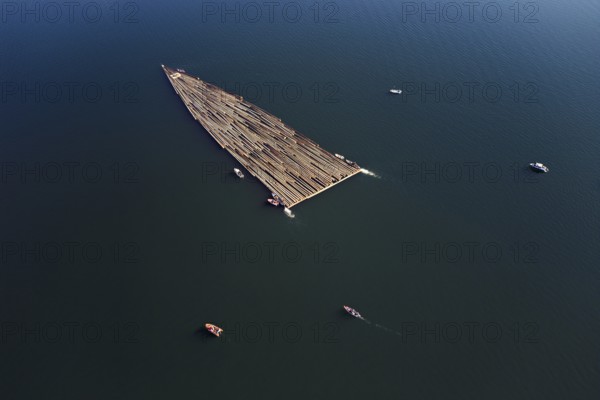 Forestry workers float a raft of felled tree trunks from the Bergmatt across the Ägerisee to the harbour, rafting 2025, Unterägeri, Canton, Zug, Switzerland