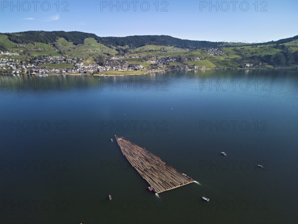Forestry workers float a raft of felled tree trunks from the Bergmatt across the Ägerisee to the harbour, rafting 2025, Unterägeri, Canton, Zug, Switzerland