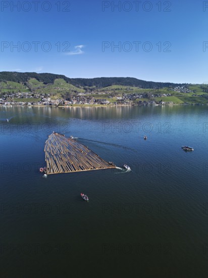 Forestry workers float a raft of felled tree trunks from the Bergmatt across the Ägerisee to the harbour, rafting 2025, Unterägeri, Canton, Zug, Switzerland