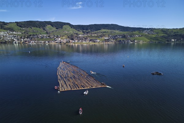 Forestry workers float a raft of felled tree trunks from the Bergmatt across the Ägerisee to the harbour, rafting 2025, Unterägeri, Canton, Zug, Switzerland