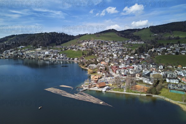 Raft of felled tree trunks at the landing stage where the trunks are pulled ashore and cut to size for loading onto the lorry, Rafting 2025, Unterägeri, Canton, Zug, Switzerland