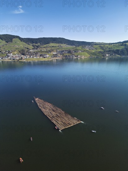 Forestry workers float a raft of felled tree trunks from the Bergmatt across the Ägerisee to the harbour, rafting 2025, Unterägeri, Canton, Zug, Switzerland