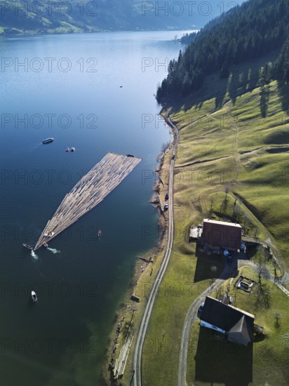 Forestry workers float a raft of felled tree trunks from the Bergmatt across the Ägerisee to the harbour, rafting 2025, Unterägeri, Canton, Zug, Switzerland
