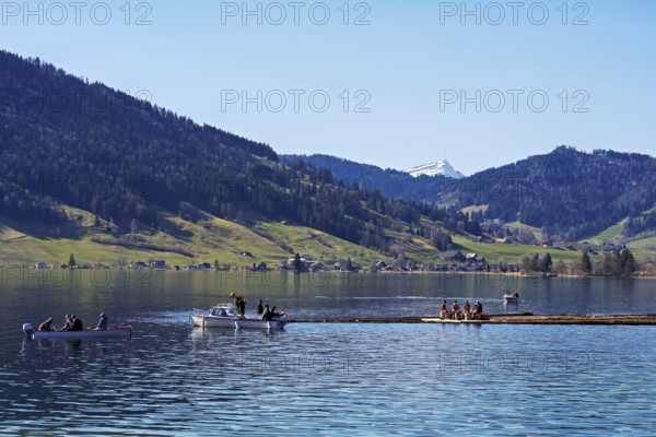 Forestry workers float a raft of felled tree trunks from the Bergmatt across the Ägerisee to the harbour, rafting 2025, Unterägeri, Canton, Zug, Switzerland