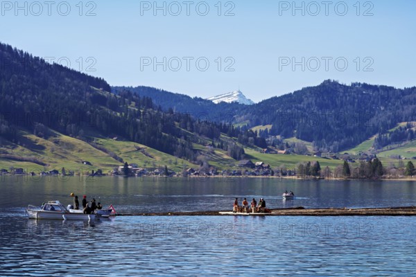 Forestry workers float a raft of felled tree trunks from the Bergmatt across the Ägerisee to the harbour, rafting 2025, Unterägeri, Canton, Zug, Switzerland