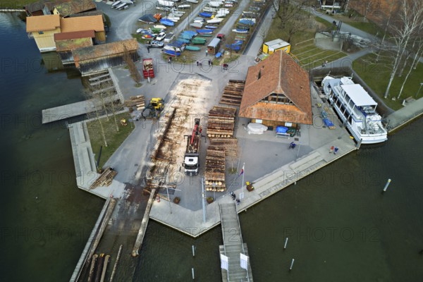 Raft of felled tree trunks at the landing stage where the trunks are pulled ashore and cut to size for loading onto the lorry, Rafting 2025, Unterägeri, Canton, Zug, Switzerland