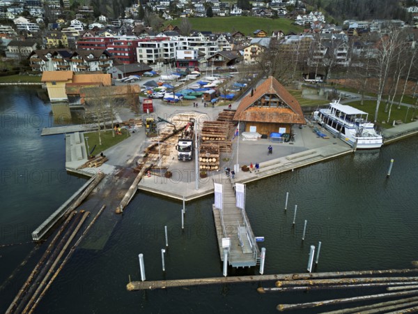 Raft of felled tree trunks at the landing stage where the trunks are pulled ashore and cut to size for loading onto the lorry, Rafting 2025, Unterägeri, Canton, Zug, Switzerland