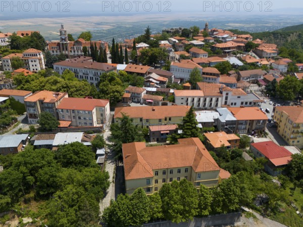 View of a hill town with traditional roofs and many trees in an extensive panorama, aerial view, Sighnaghi, Signagi, Kakheti Province, Greater Caucasus, Georgia, Near East