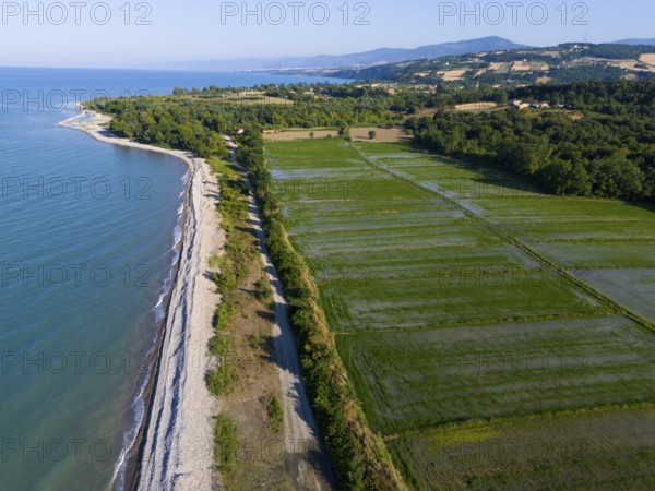 View of the coastline and neighbouring green fields bordering the blue sea with rolling hills in the background, aerial view, rice paddies near Sancakli, Sancakli, Terme, Samsun Province, Turkey