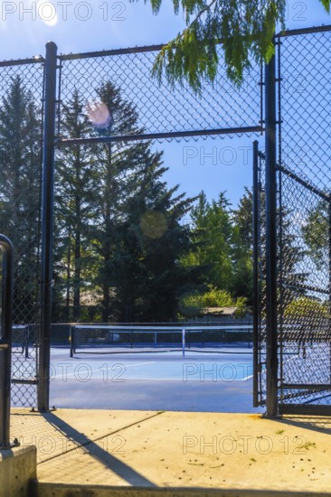 Open black metal gate of a blue pickleball court illuminated by the summer sun, inviting players to enjoy a friendly match surrounded by lush green trees
