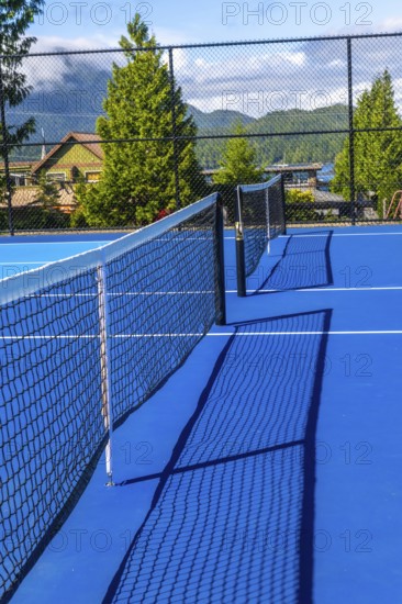 Sunlight illuminates a vibrant blue pickleball court, the net casting a distinct shadow, hinting at a game waiting to begin amidst a serene outdoor setting