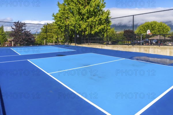 Two vibrant blue pickleball courts stand empty on a sunny day, white lines marking the boundaries and a chain link fence enclosing the area, hinting at the exciting games yet to be played
