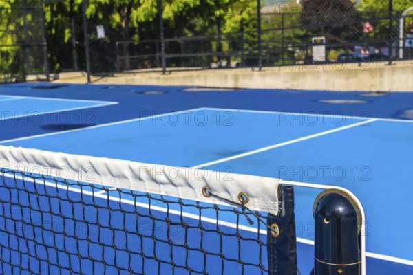 Pickleball net and an empty blue court await eager players on a bright sunny day, creating an inviting atmosphere for an exciting game in a lively outdoor setting